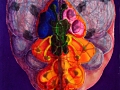 Alien-Brain