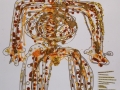 Robot of Gold hi