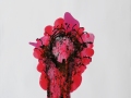 Pink-Supernova-Flower-Blooming