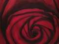 Flower-Vortex