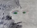 Leonardo's Vision hi mod