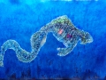 Deep-Sea-Creature