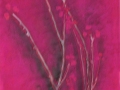 Flower-Plant-from-Saturn