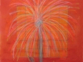 The-mapping-of-a-Desert-Flower
