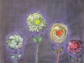 Unknown-Flowers
