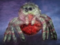 Boris The Spider 2