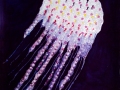 Purple-Ocean-Jellyfish