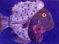Moon-Fish