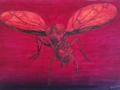 Insect-on-Mars