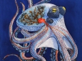 Planet-Fukuda-Octopus