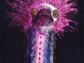 Strannaya-Bird-on-Planet-Darq