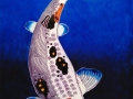 Nishikigoi-Fish