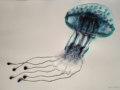 White Belly Jelly hi