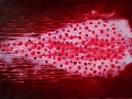 Comet-Pink