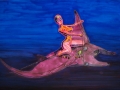 Aolani and The Hahalua from The Ocean to The Sky hi