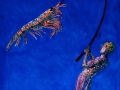 Shrimpo-Fishing-on-Planet-Acuaria
