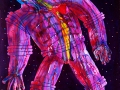 Second-Lost-Astronaut