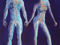 Alien-Lovers