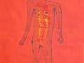Red-Alien-Anatomy